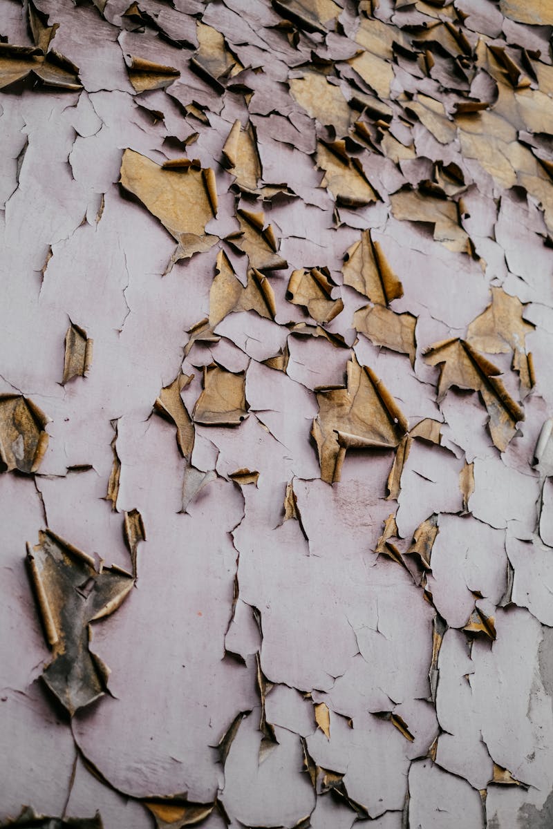 Cracked foundation - surface treatment won't fix it